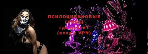 эйфоретик Надым