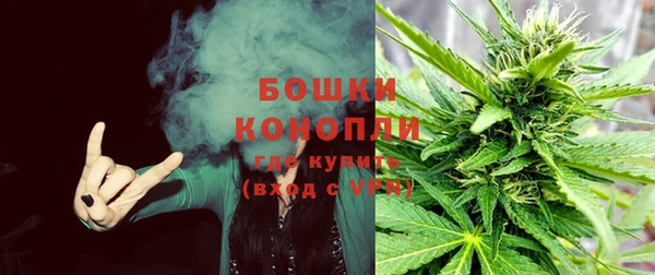 эйфоретик Надым